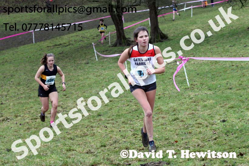 Womens under-17s and under-20s, Start Fitness NEHL, Thornley Hill Farm, Peterlee, County Durham. Photo: David T. Hewitson/Sports for All Pics